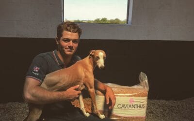 New Partnership with Caviera Bedding