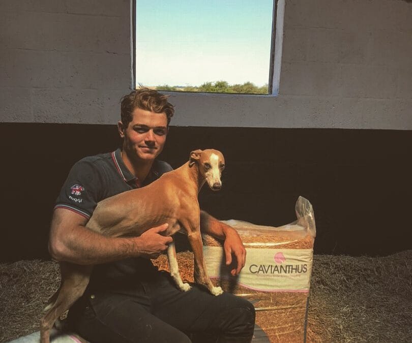 New Partnership with Caviera Bedding