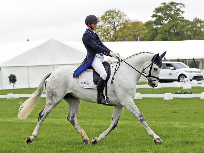 Young horses make international debut