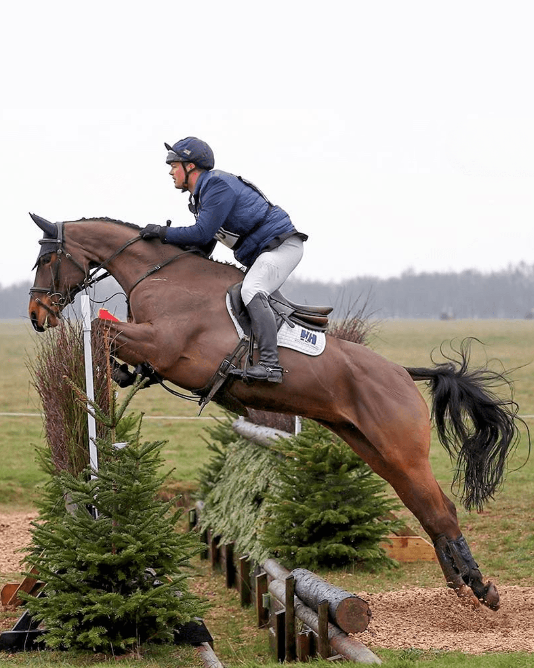 Hyde Lodge Horses