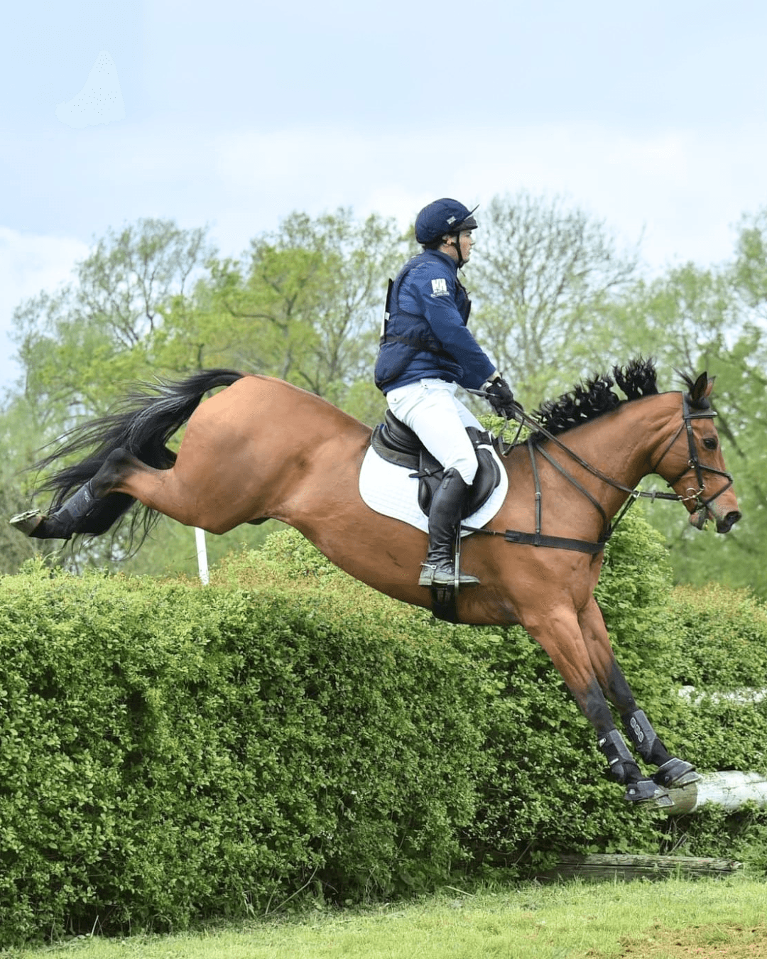 Hyde Lodge Horses