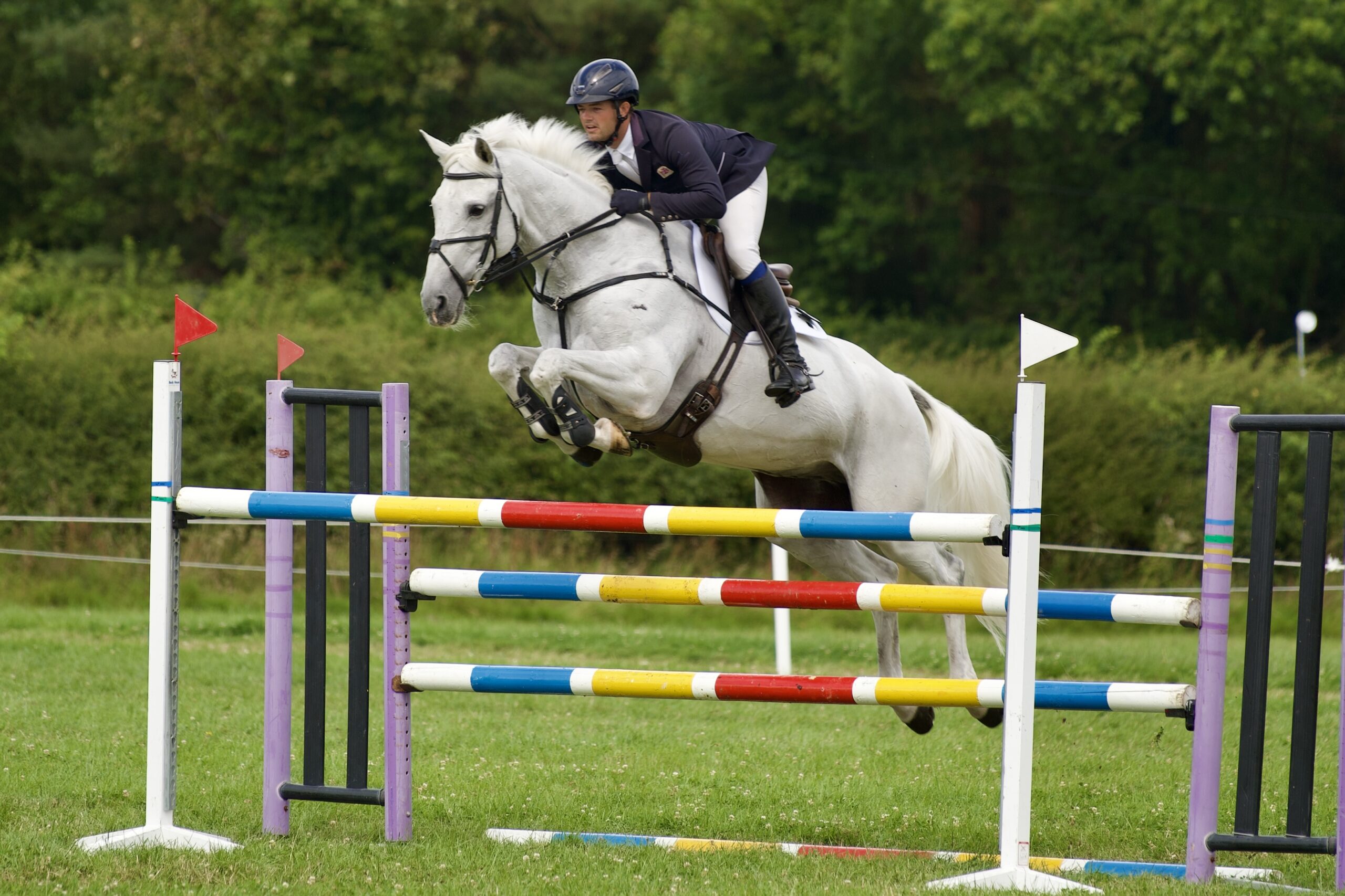 cool Jack Burgham international horse trials